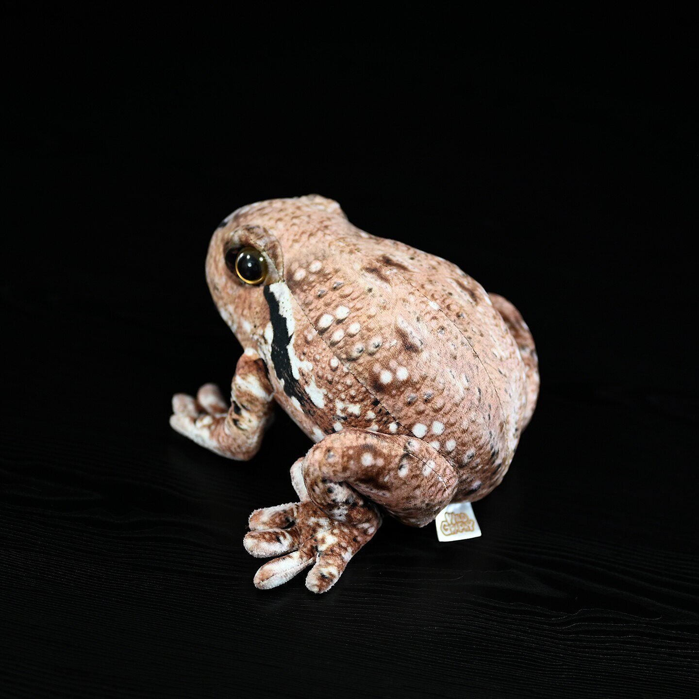 Back view of Japanese Common Toad plush, displaying its detailed warty texture and lifelike posture