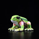 Vibrant Japanese Tree Frog Plush in realistic detail, a delightful stuffed toy for nature-loving wildlife fans
