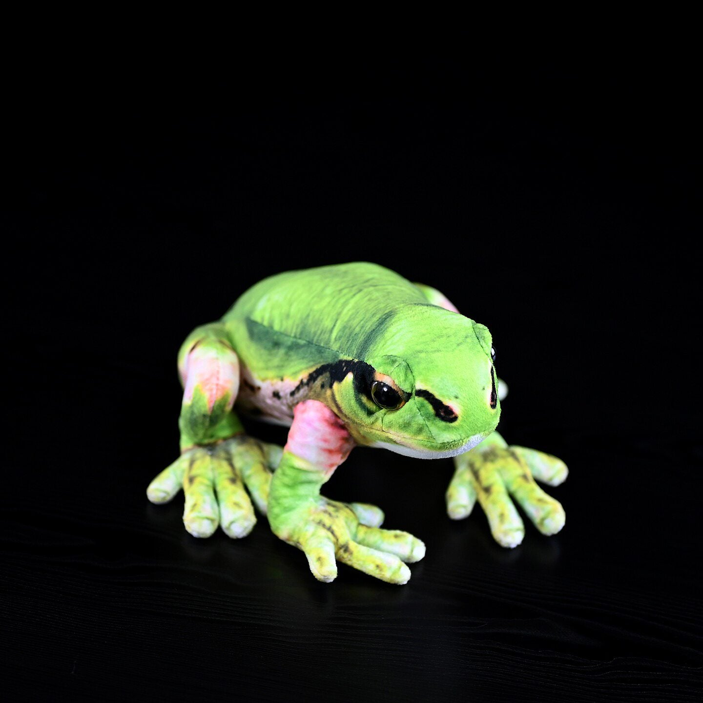 Top-down view of Japanese Tree Frog Plush, showing bright green tones and striking details by SoftDaysLab