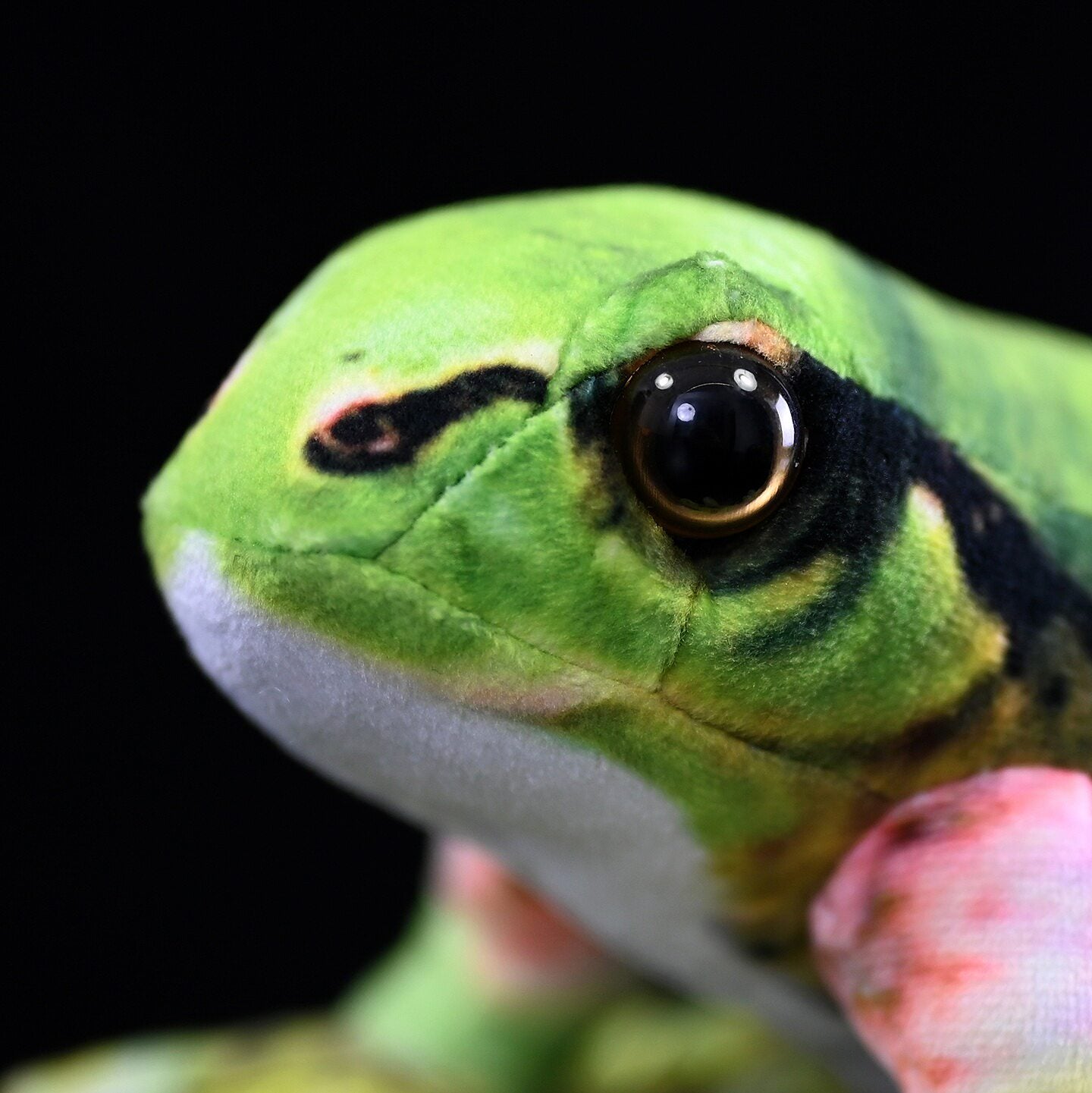Close-up of Japanese Tree Frog Plush’s realistic eye detail, highlighting its careful craftsmanship