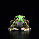 Front view of Japanese Black-spotted Pond Frog Plush with vibrant green tones and natural patterns