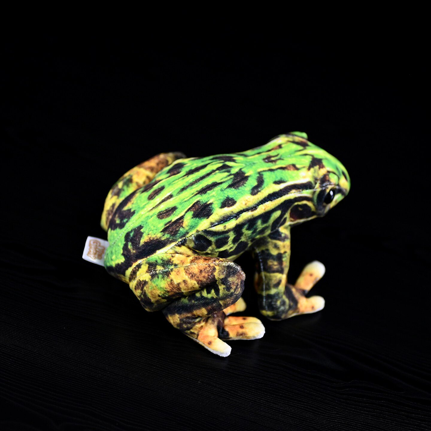Back view of the Japanese Black-spotted Pond Frog Plush showing realistic textures and vibrant patterns