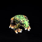 Top-down view of the Japanese Black-spotted Pond Frog Plush with vibrant color patterns