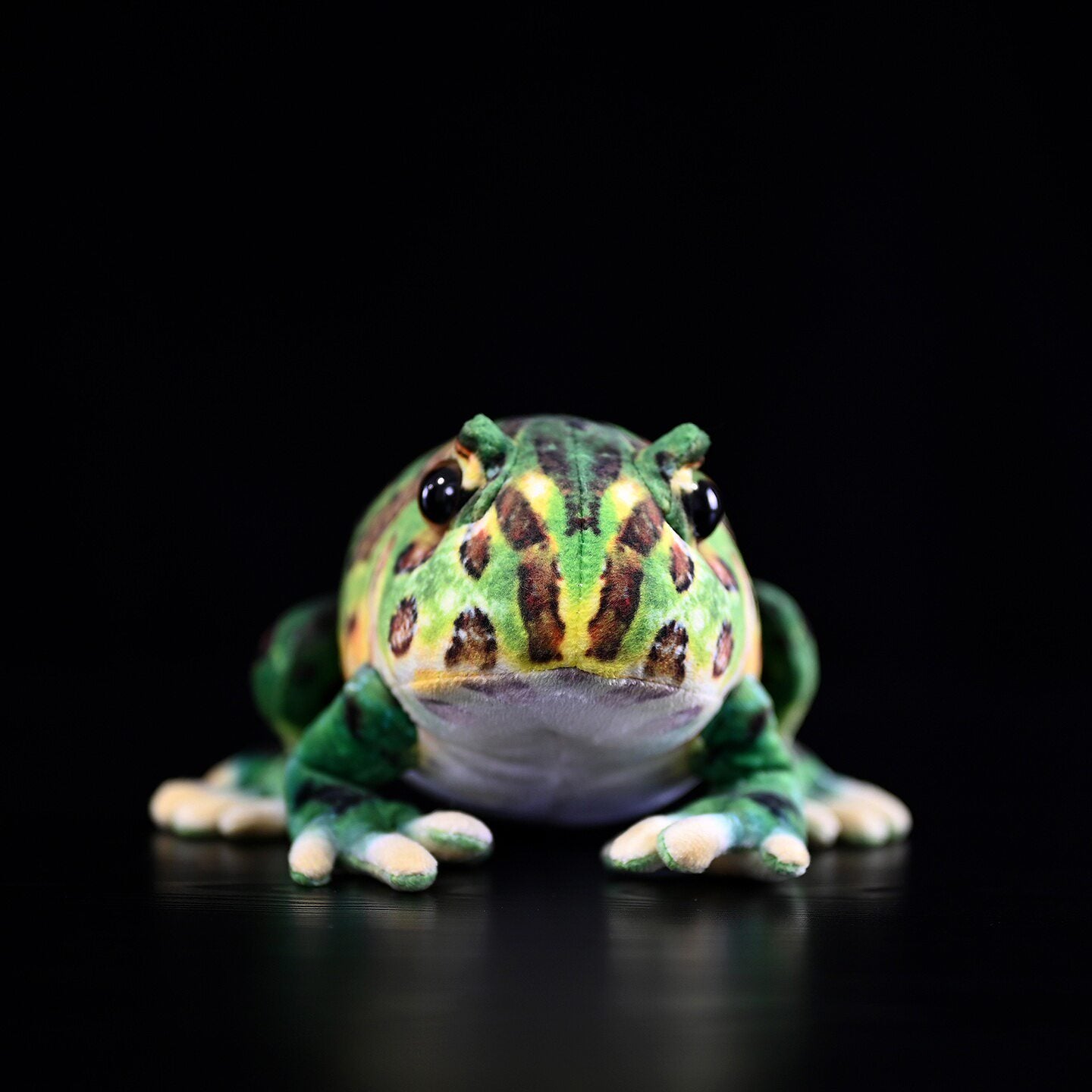 Front view of Argentine horned frog plush showing realistic details, perfect for frog enthusiasts and collectors