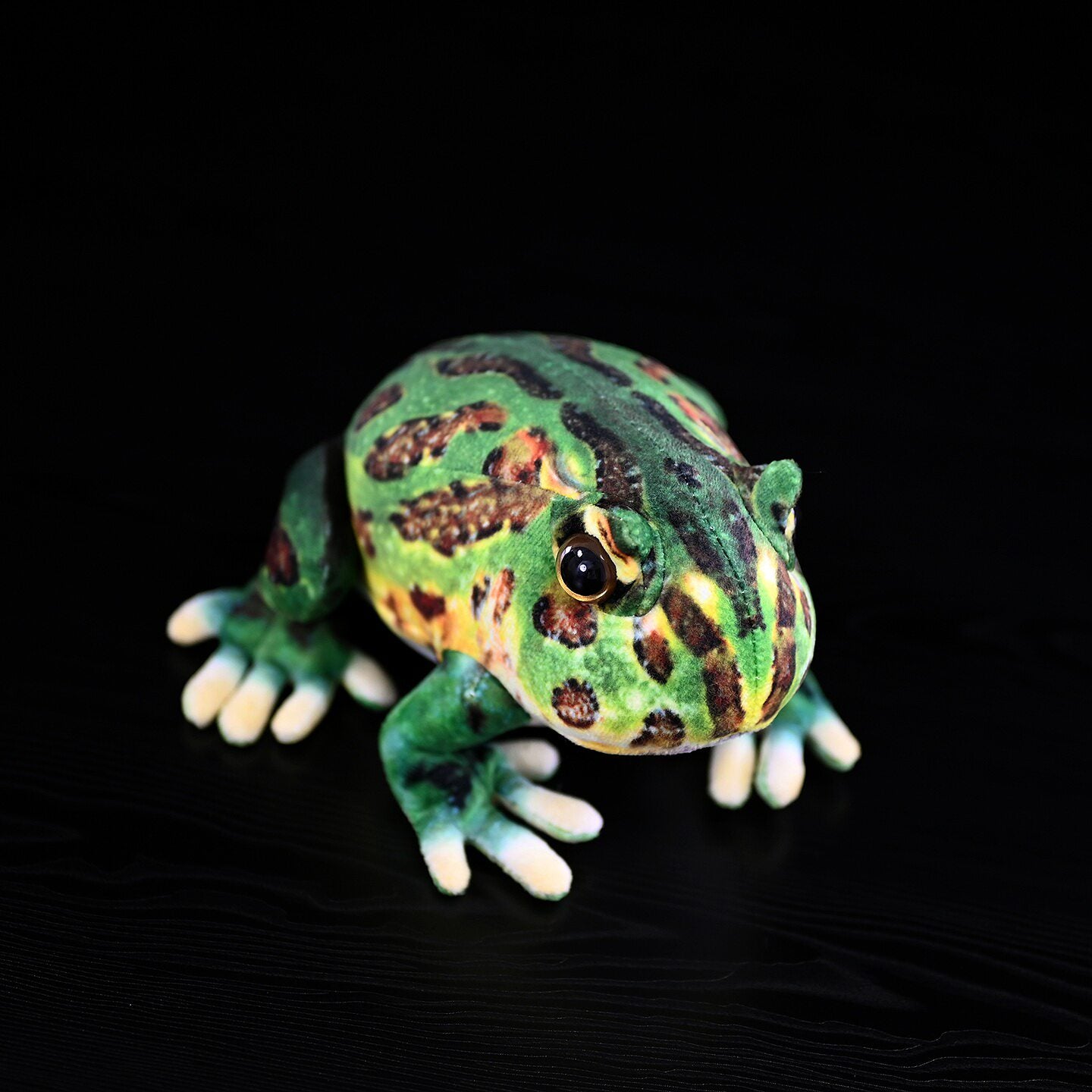 Top view of ornate horned frog plush, capturing its unique markings for a lifelike wildlife toy experience