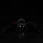 Realistic Tarantula Spider Plush – Lifelike, Soft, and Perfect for Nature Lovers