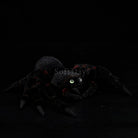 Realistic Tarantula Spider Plush – Lifelike, Soft, and Perfect for Nature Lovers