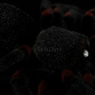 Realistic Tarantula Spider Plush – Lifelike, Soft, and Perfect for Nature Lovers