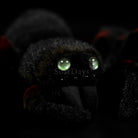Realistic Tarantula Spider Plush – Lifelike, Soft, and Perfect for Nature Lovers
