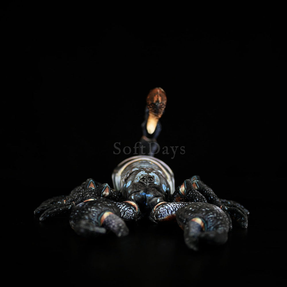 Realistic Dwarf Wood Scorpion Plush Toy – Soft and Lifelike