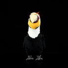 Realistic Wreathed Hornbill Plush Toy - Lifelike Stuffed Animal for Collectors & Bird Lovers