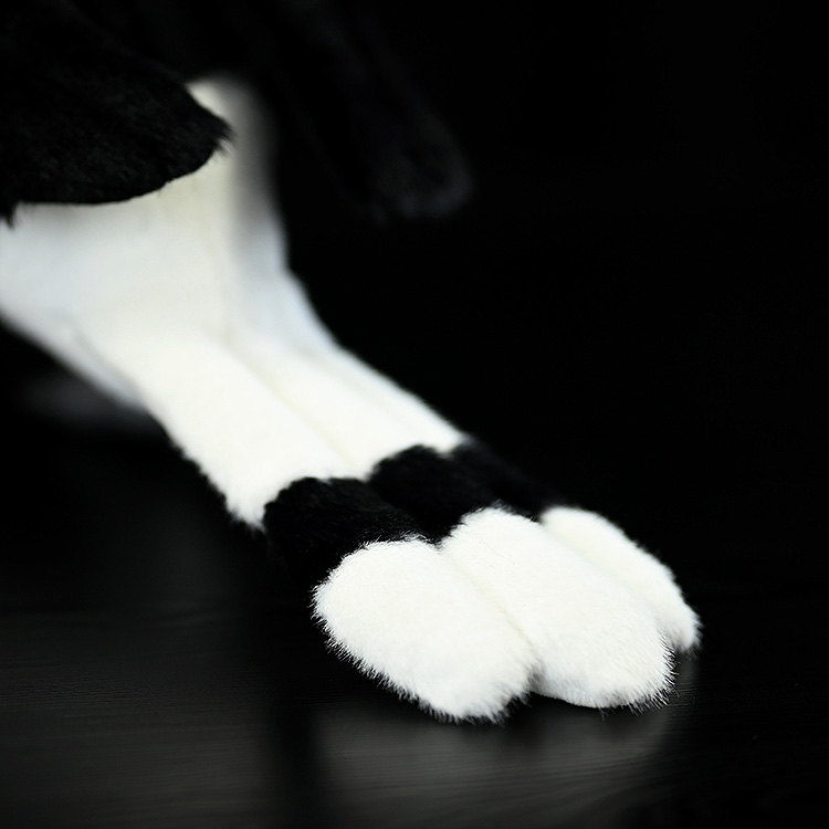 Tail view of a Rhinoceros Hornbill stuffed animal with soft black and white textures