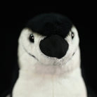 Front close-up of a chinstrap penguin plush toy’s beak and eyes, emphasizing its lifelike design and soft materials