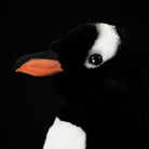 Close-up of Gentoo Penguin plush toy’s head, realistic orange beak and white head stripe