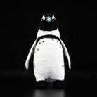 Front view of African Penguin plush toy, showcasing its adorable details and authentic markings