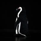 African Penguin plush toy in a natural pose, perfect for penguin lovers and collectors