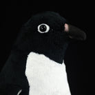 Close-up of Adélie penguin plush face with detailed eyes and beak, designed by SoftDaysLab