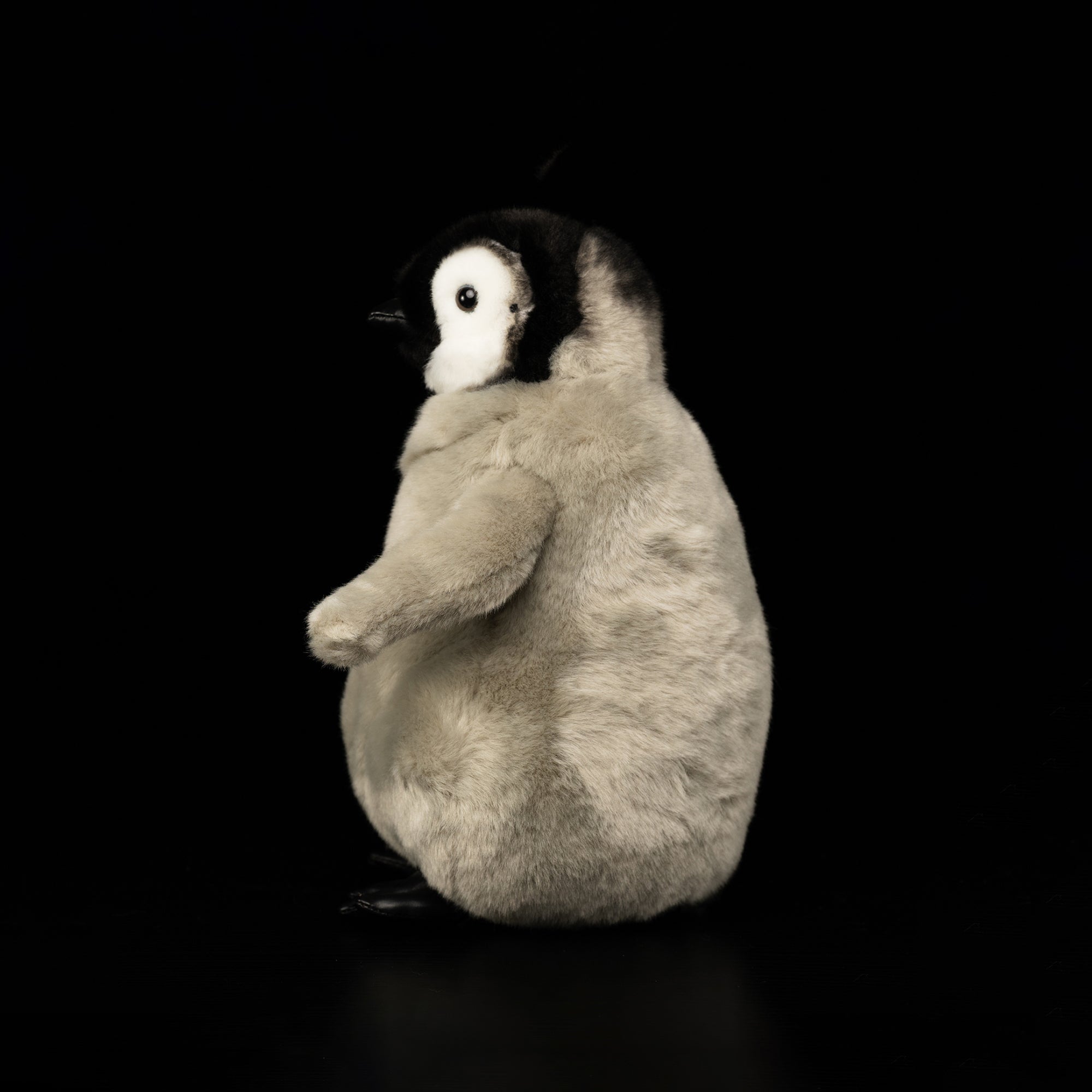 Left profile of Emperor Penguin chick plush toy by SoftDaysLab®, perfect for penguin and animal lovers