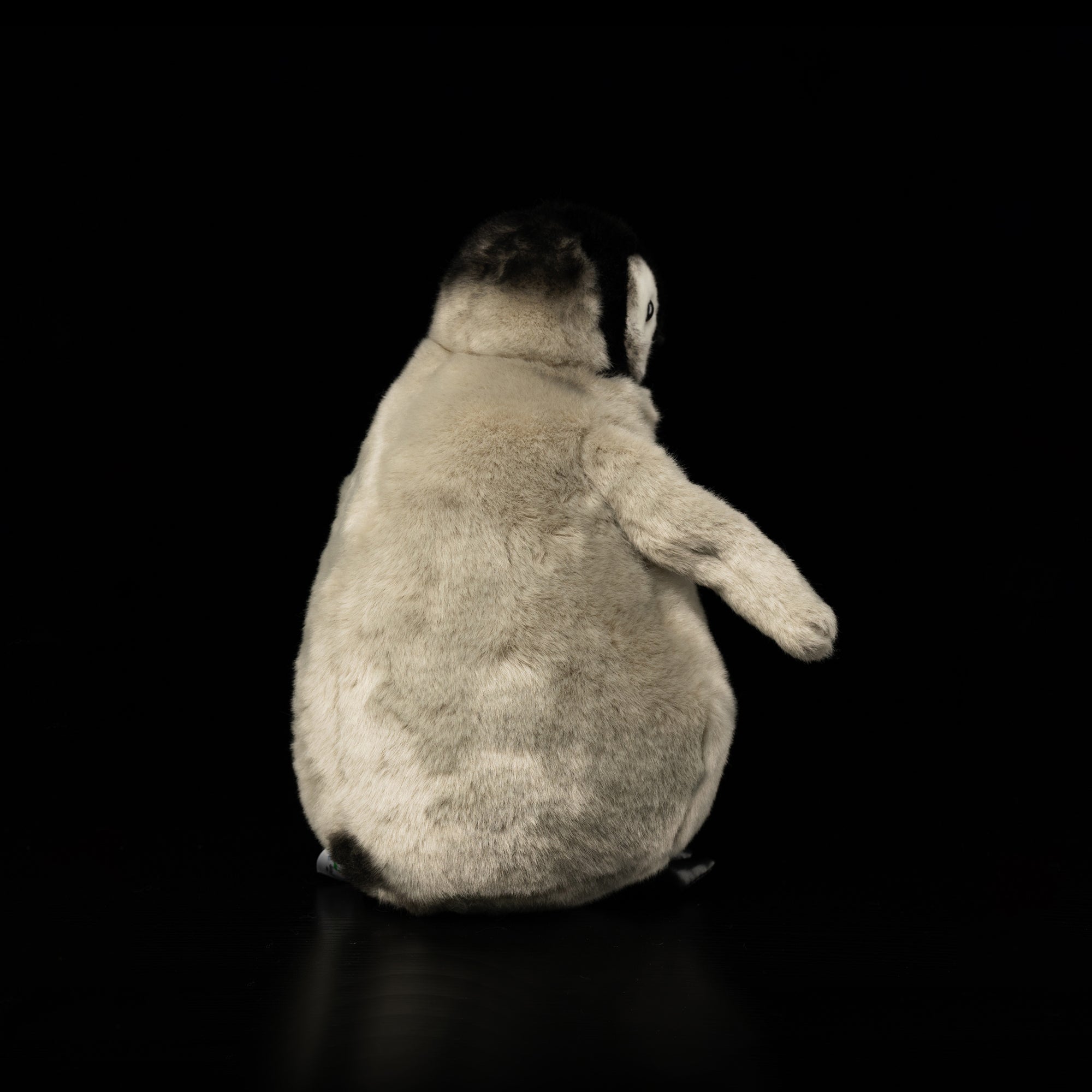 Back view of fluffy Emperor Penguin chick plush by SoftDaysLab®, showcasing its adorable detailing