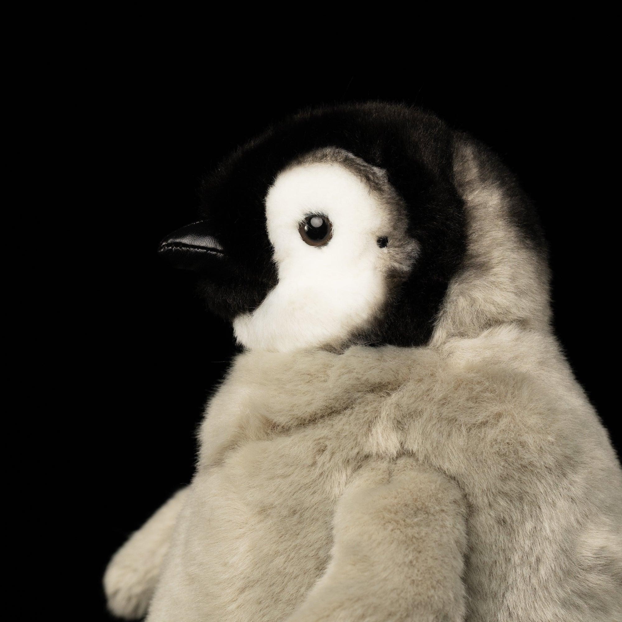 Close-up of Emperor Penguin chick plush face by SoftDaysLab®, with realistic black-and-white markings