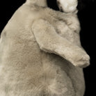 Side close-up of Emperor Penguin chick wing by SoftDaysLab®, emphasizing the soft and fluffy finish