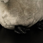 Detailed view of Emperor Penguin chick foot by SoftDaysLab®, crafted with precision and quality material