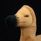 Detailed view of the dodo plush toy’s head and beak, crafted for lifelike accuracy by SoftDaysLab