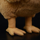 Close-up of the dodo plush toy’s feet, featuring durable stitching and realistic design details