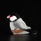 Lifelike Cute Java Sparrow Finch Bird Plush – Realistic and Chubby Design