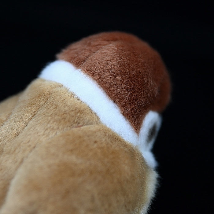 Close-up of a chubby Tree Sparrow plush's soft brown crown and neck detail with accurate coloring