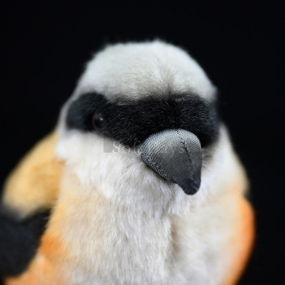 Lifelike Adorable Long-Tailed Shrike Bird Plush – Realistic and Chubby