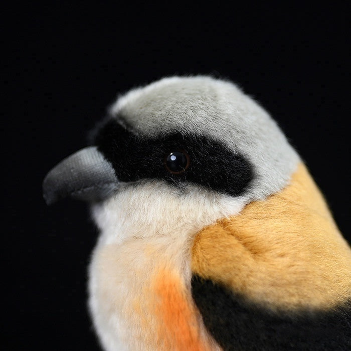 Lifelike Adorable Long-Tailed Shrike Bird Plush – Realistic and Chubby