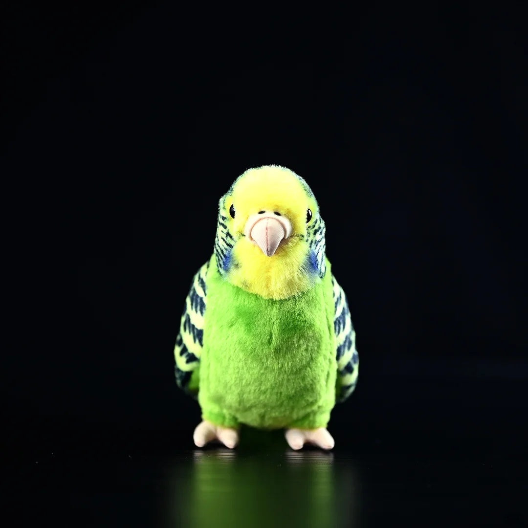 Front view of the Budgerigar Plush Toy with vibrant colors and soft texture, perfect for bird lovers