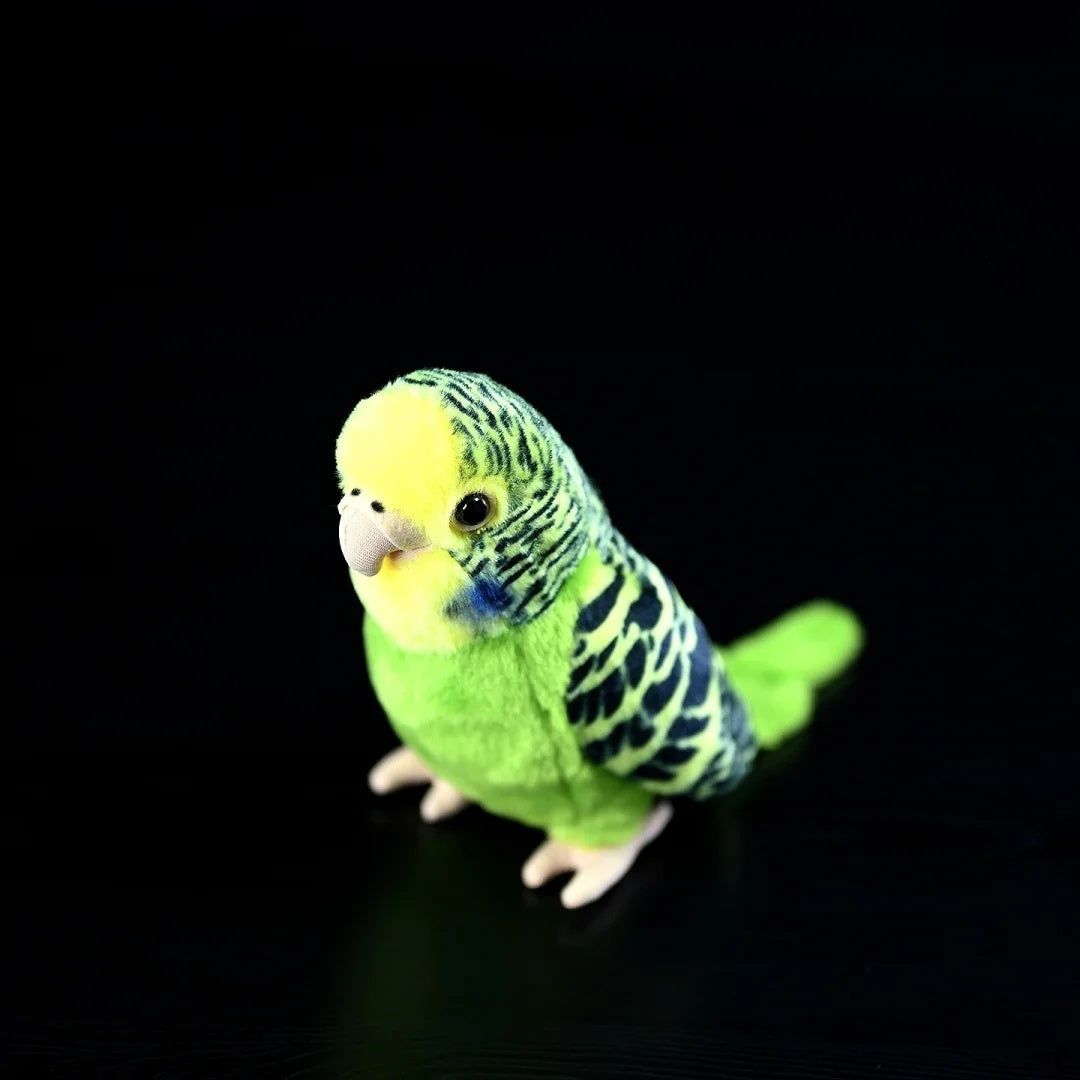 Top-angle view of the Budgerigar Plush Toy by SoftDaysLab, emphasizing its vibrant and realistic design