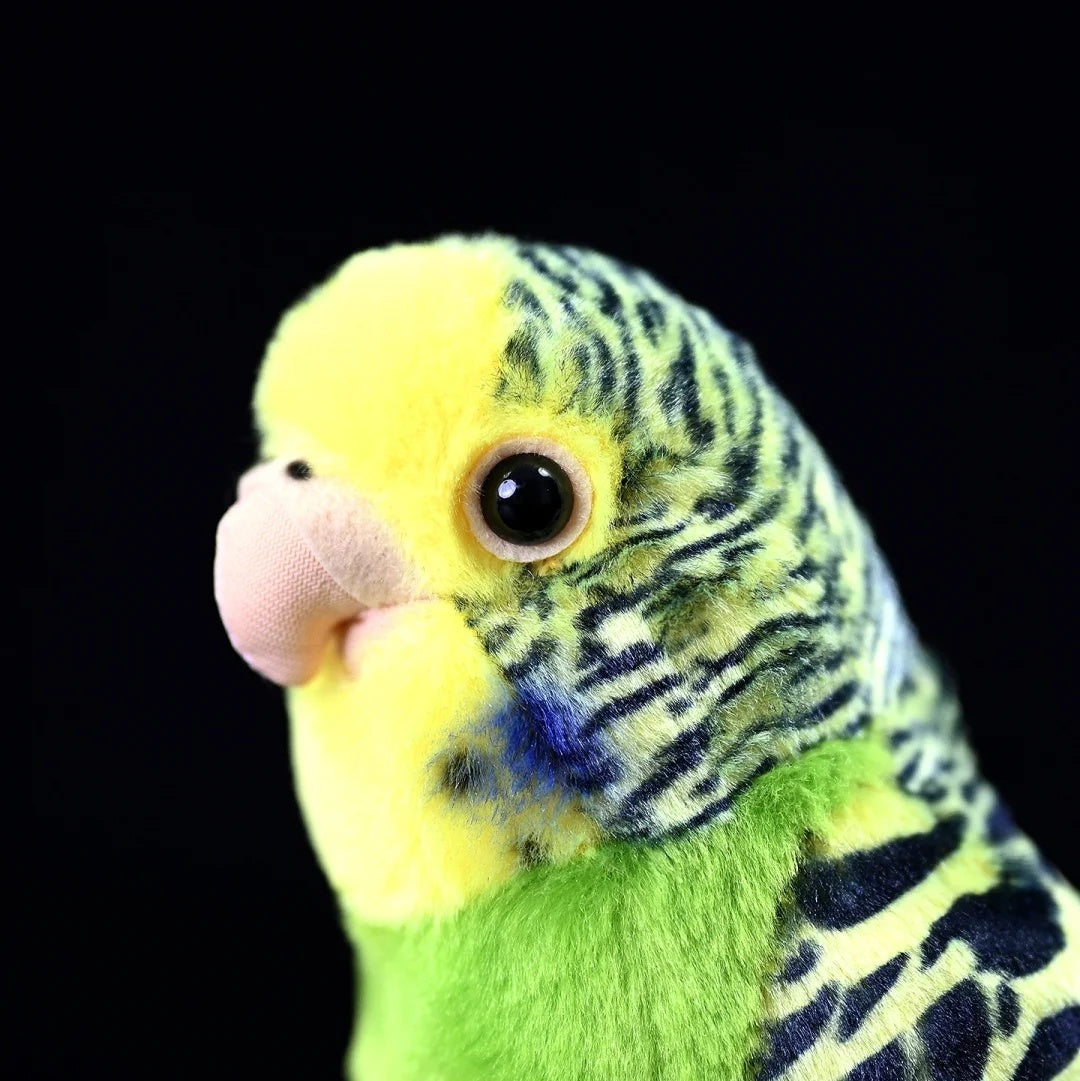 Close-up of the Budgerigar Plush Toy’s realistic face, featuring intricate feather details and lifelike eyes