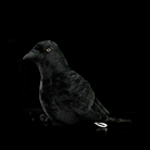 Realistic American Crow Plush Toy – Soft and Huggable Bird Companion
