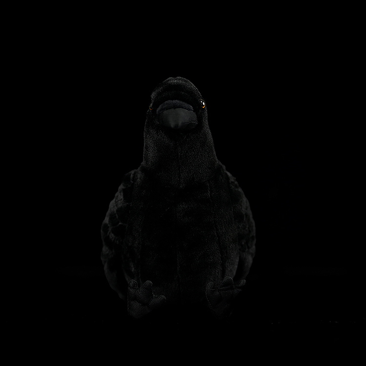 Front view of American crow plush toy with striking black features, perfect for crow and bird enthusiasts