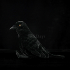 Realistic American Crow Plush Toy – Soft and Huggable Bird Companion