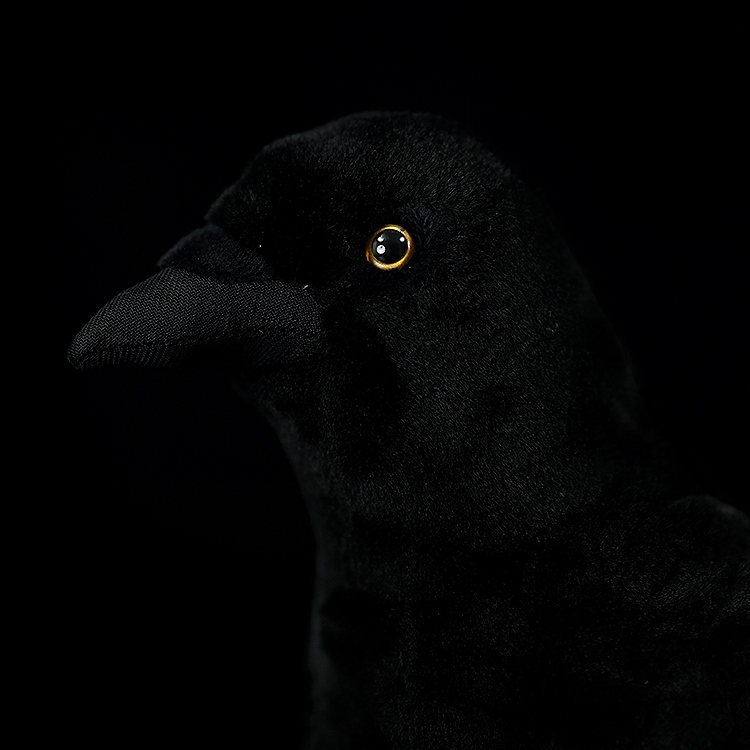 Close-up of American crow plush toy’s head and bright eye, showcasing fine details and lifelike appearance