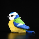 Lifelike Adorable Eurasian Blue Tit Plush Toy – Realistic Design and Chubby Charm