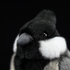 Adorable Rufous-Vented Tit Bird Plush Toy – Lifelike and Chubby