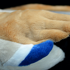 Realistic Mallard Duck Plush Toy – Soft and Lifelike