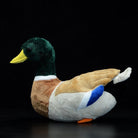 Realistic Mallard Duck Plush Toy – Soft and Lifelike