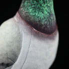 Detailed view of the Hill Pigeon plush’s vibrant green neck feathers and smooth fabric texture