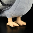 Close-up of Hill Pigeon plush toy’s soft and realistic feet, carefully crafted for a lifelike appearance