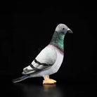 Realistic Hill Pigeon Plush Toy – Soft and Lifelike Stuffed Bird