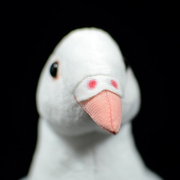 Close-up of White Dove Plush Toy's face with detailed beak and realistic eyes by SoftDaysLab