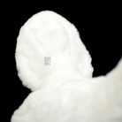 White Rooster Chicken Soft Stuffed Plush Toy – Lifelike and Adorable