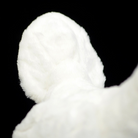 Close-up of White Rooster Chicken Plush Toy’s soft white tail, emphasizing its plush material and detail