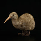 Realistic Kiwi Bird Plush Toy – Soft and Adorable Stuffed Animal